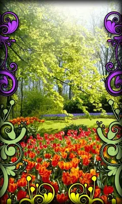 Flowers Live Wallpaper android App screenshot 0